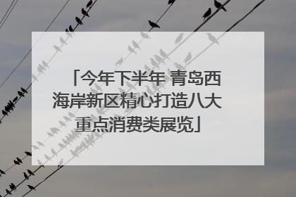 今年下半年 青岛西海岸新区精心打造八大重点消费类展览
