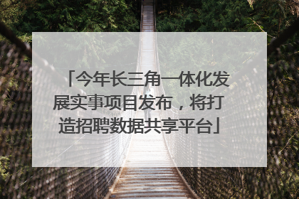 今年长三角一体化发展实事项目发布，将打造招聘数据共享平台