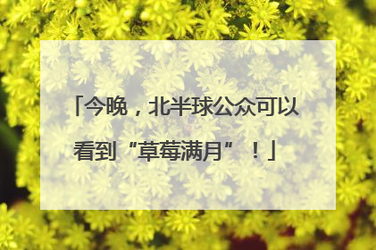 今晚，北半球公众可以看到“草莓满月”！