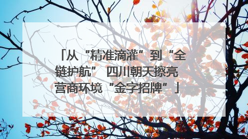 从“精准滴灌”到“全链护航” 四川朝天擦亮营商环境“金字招牌”