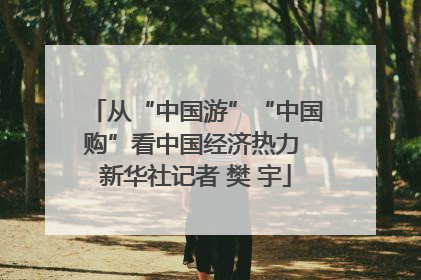 从“中国游”“中国购”看中国经济热力 新华社记者 樊 宇
