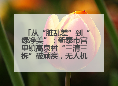 从“脏乱差”到“绿净美”：新泰市宫里镇高泉村“三清三拆”破顽疾，无人机“天眼”护新颜