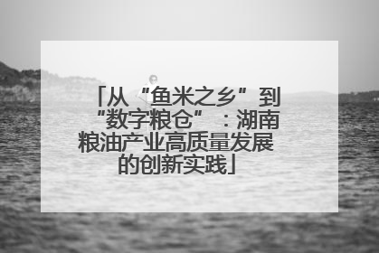 从“鱼米之乡”到“数字粮仓”：湖南粮油产业高质量发展的创新实践