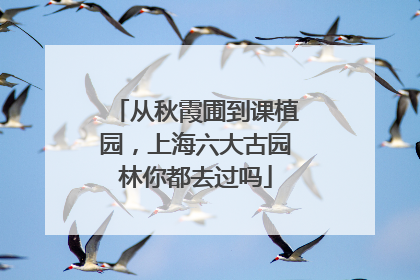 从秋霞圃到课植园，上海六大古园林你都去过吗