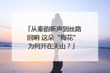 从秦韵新声到丝路回响 这朵“梅花”为何开在天山？