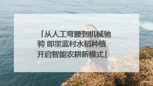 从人工弯腰到机械驰骋 即墨蓝村水稻种植开启智能农耕新模式