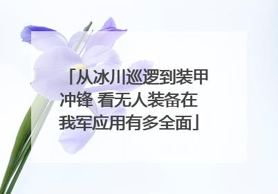 从冰川巡逻到装甲冲锋 看无人装备在我军应用有多全面