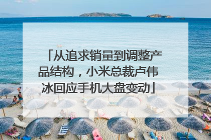 从追求销量到调整产品结构，小米总裁卢伟冰回应手机大盘变动