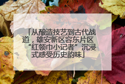 从酿造技艺到古代战道，雄安新区容东片区“红领巾小记者”沉浸式感受历史韵味