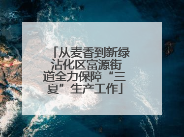 从麦香到新绿 沾化区富源街道全力保障“三夏”生产工作