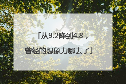 从9.2降到4.8，曾经的想象力哪去了
