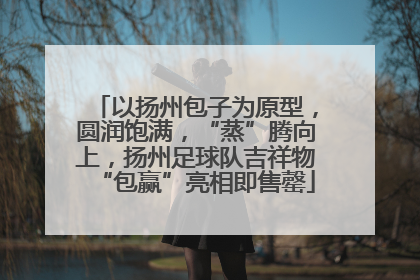 以扬州包子为原型，圆润饱满，“蒸”腾向上，扬州足球队吉祥物“包赢”亮相即售罄