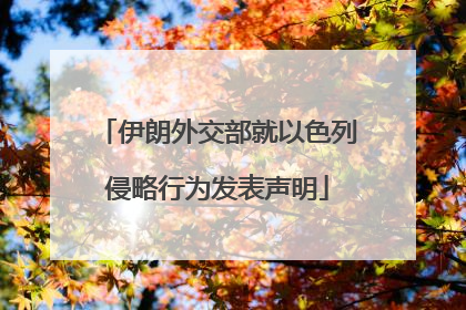伊朗外交部就以色列侵略行为发表声明