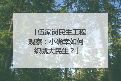 伍家岗民生工程观察：小确幸如何织就大民生？