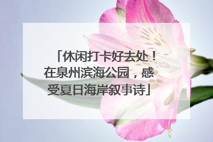 休闲打卡好去处！在泉州滨海公园，感受夏日海岸叙事诗