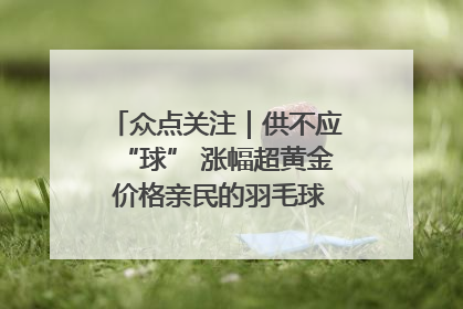 众点关注｜供不应“球” 涨幅超黄金 价格亲民的羽毛球为何身价飞涨？