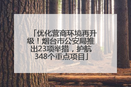 优化营商环境再升级！烟台市公安局推出23项举措，护航348个重点项目