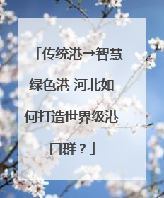 传统港→智慧绿色港 河北如何打造世界级港口群？
