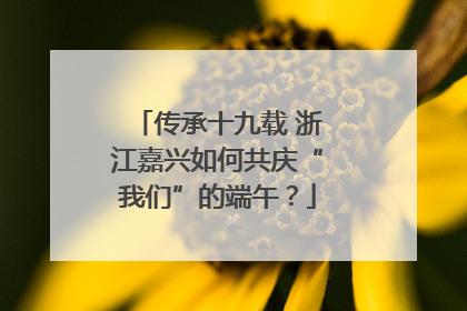 传承十九载 浙江嘉兴如何共庆“我们”的端午？