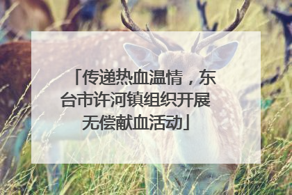 传递热血温情，东台市许河镇组织开展无偿献血活动