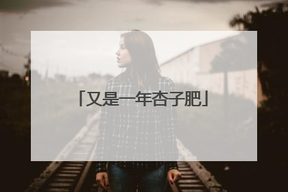 又是一年杏子肥