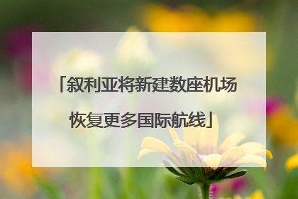 叙利亚将新建数座机场 恢复更多国际航线