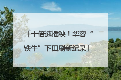 十倍速插秧！华容“铁牛”下田刷新纪录