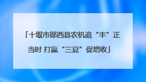 十堰市郧西县农机追“丰”正当时 打赢“三夏”促增收