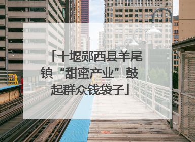 十堰郧西县羊尾镇“甜蜜产业”鼓起群众钱袋子