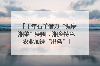 千年石羊借力“健康湘菜”突围，湘乡特色农业加速“出省”