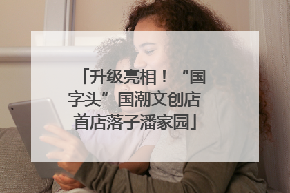 升级亮相！“国字头”国潮文创店首店落子潘家园