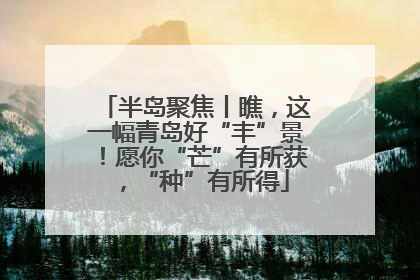 半岛聚焦丨瞧，这一幅青岛好“丰”景！愿你“芒”有所获，“种”有所得