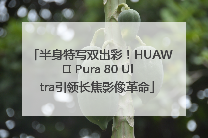 半身特写双出彩！HUAWEI Pura 80 Ultra引领长焦影像革命