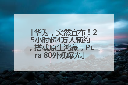 华为，突然宣布！2.5小时超4万人预约，搭载原生鸿蒙，Pura 80外观曝光