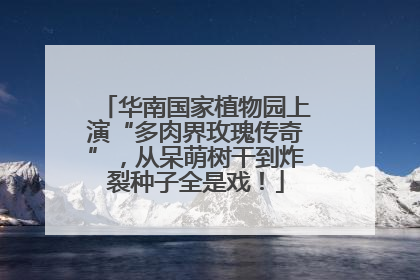华南国家植物园上演“多肉界玫瑰传奇”，从呆萌树干到炸裂种子全是戏！