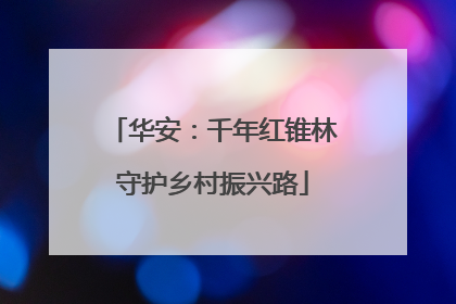 华安：千年红锥林守护乡村振兴路