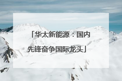 华太新能源：国内先锋奋争国际龙头