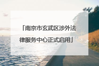 南京市玄武区涉外法律服务中心正式启用