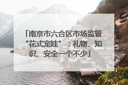 南京市六合区市场监管“花式宠娃”：礼物、知识、安全一个不少