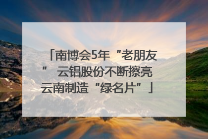 南博会5年“老朋友” 云铝股份不断擦亮云南制造“绿名片”