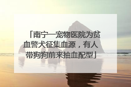 南宁一宠物医院为贫血警犬征集血源，有人带狗狗前来抽血配型