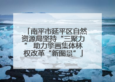 南平市延平区自然资源局坚持“三聚力” 助力擎画集体林权改革“新图景”