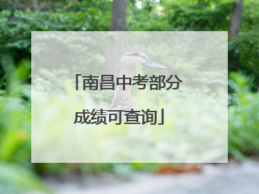 南昌中考部分成绩可查询