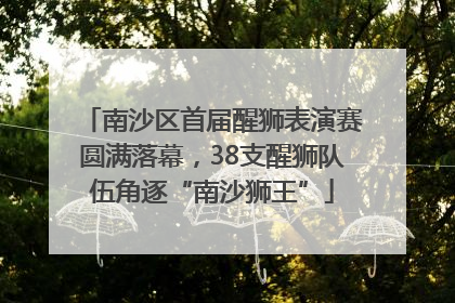 南沙区首届醒狮表演赛圆满落幕，38支醒狮队伍角逐“南沙狮王”
