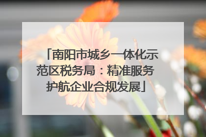 南阳市城乡一体化示范区税务局：精准服务护航企业合规发展