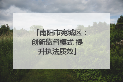 南阳市宛城区：创新监督模式 提升执法质效