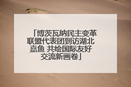 博茨瓦纳民主变革联盟代表团到访湖北嘉鱼 共绘国际友好交流新画卷