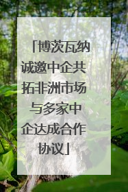 博茨瓦纳诚邀中企共拓非洲市场 与多家中企达成合作协议