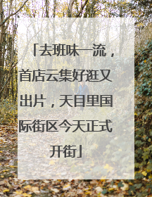 去班味一流，首店云集好逛又出片，天目里国际街区今天正式开街