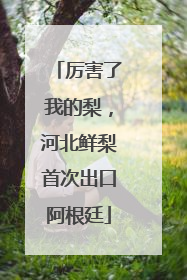 厉害了我的梨，河北鲜梨首次出口阿根廷